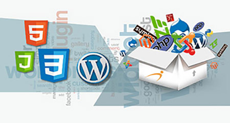 
                                                                            Web Development  (PHP – MY SQL)